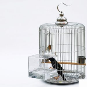 Acrylic Bird Bath Bowl — Clip-On Cage Bath for Budgies, Cockatiels, Mynahs (2 Sizes)