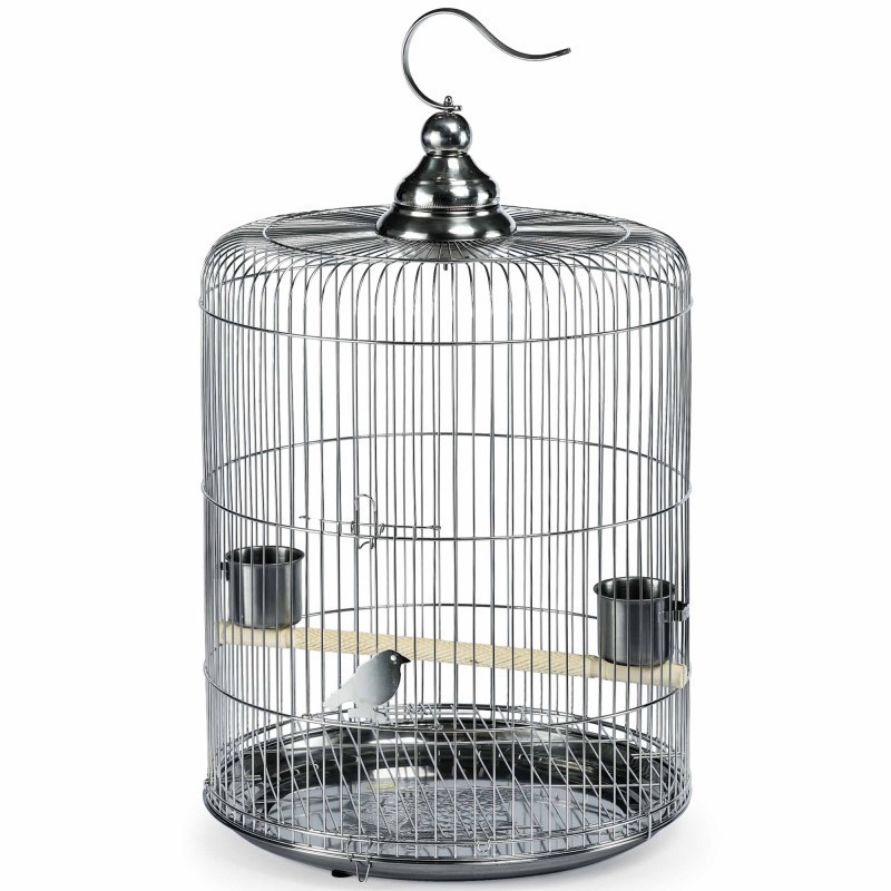 Bird Cages